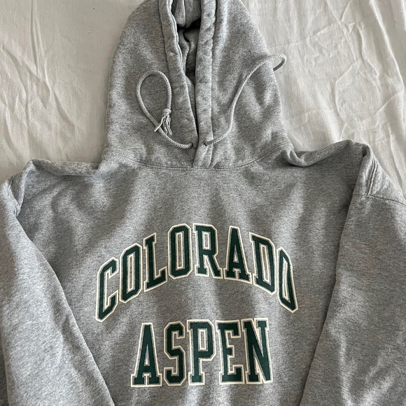 RARE brandy melville colorado aspen hoodie - Picture 1 of 3